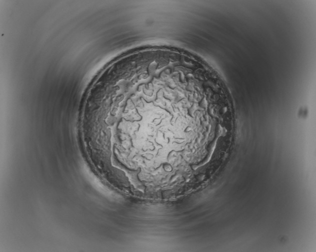 X0000113980895200910021134