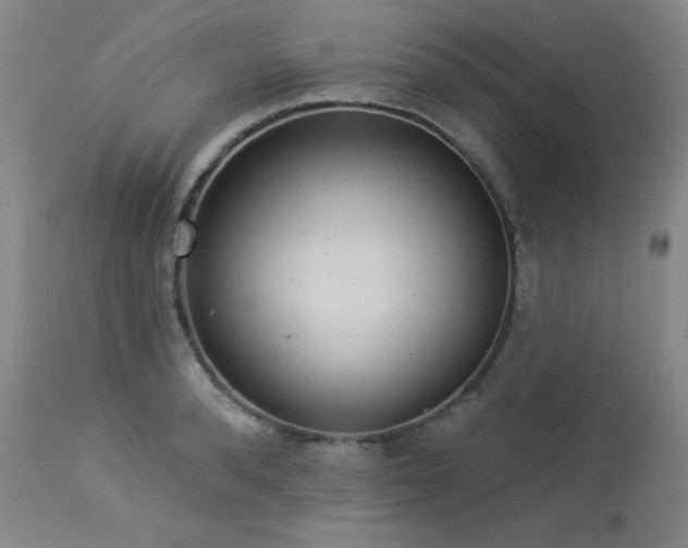 X0000113980896200910021134