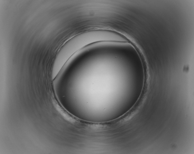 X0000113980897200910021134