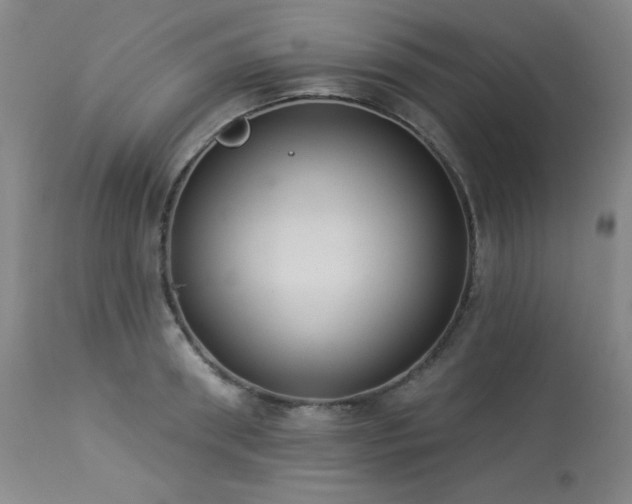 X0000113980898200910021134