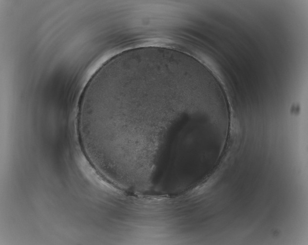X0000113980899200910021134