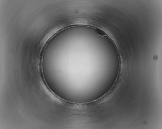 X0000113980901200910021134