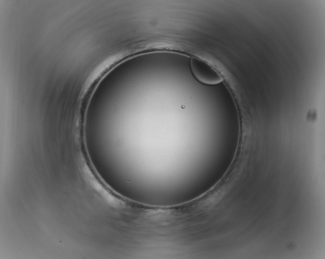 X0000113980902200910021134