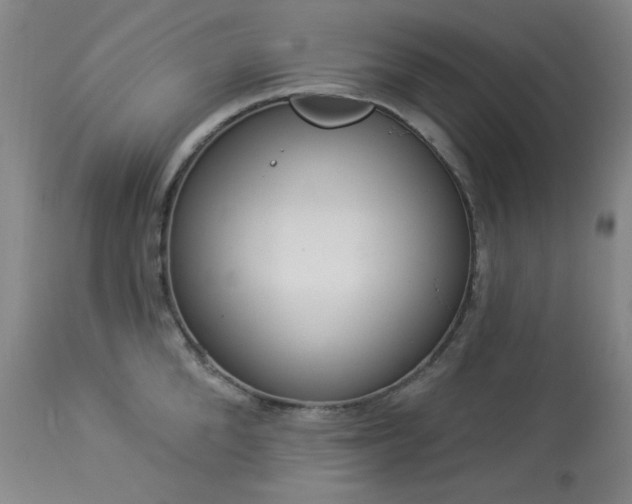 X0000113980904200910021134