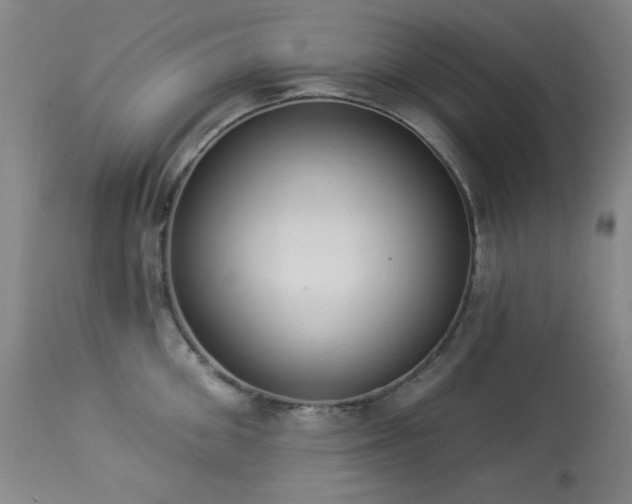 X0000113980906200910021134