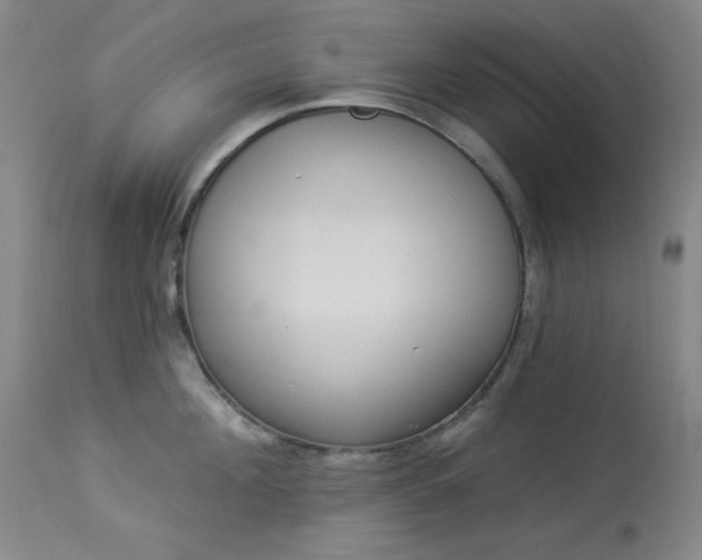X0000113980908200910021134