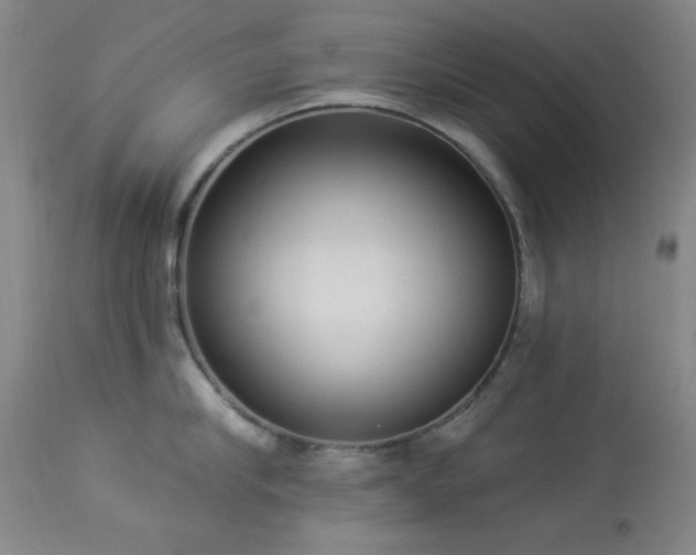 X0000113980910200910021134