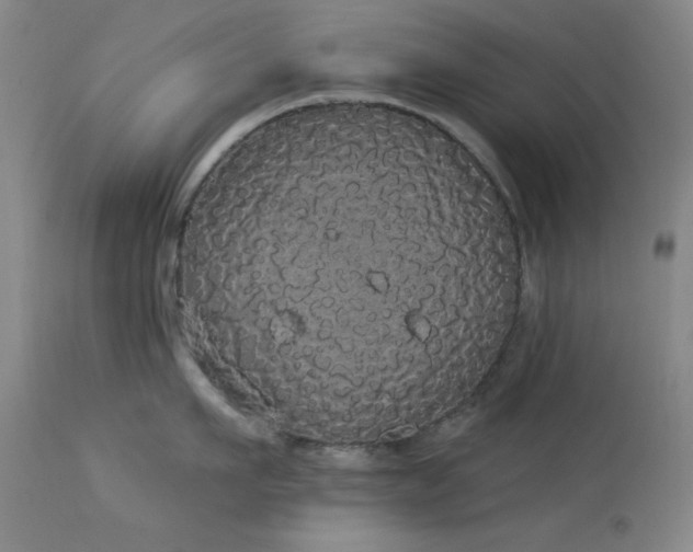 X0000113980911200910021134