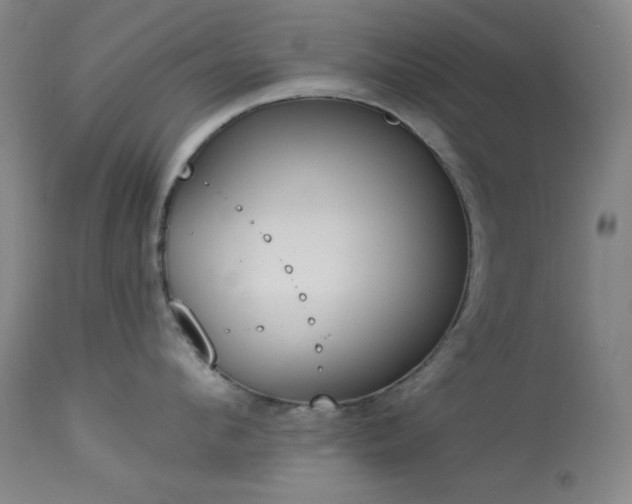 X0000113980912200910021134