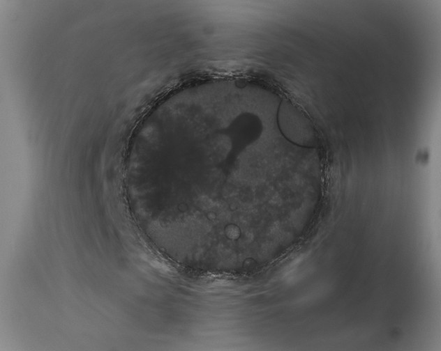 X0000113980913200910021133