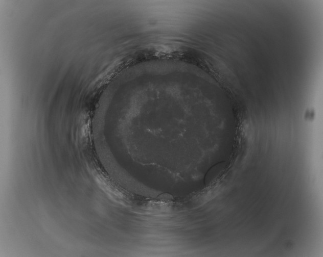 X0000113980914200910021133