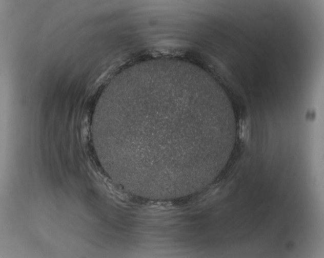 X0000113980915200910021133