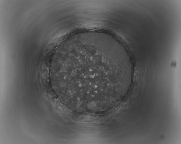 X0000113980917200910021133