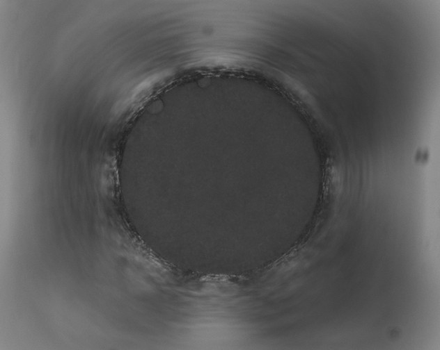 X0000113980918200910021133