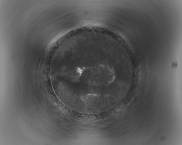 X0000113980919200910021133