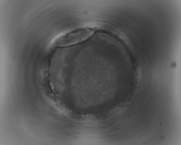 X0000113980920200910021133