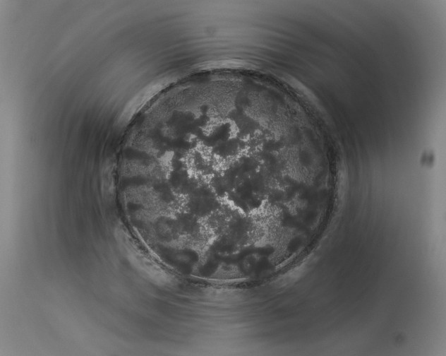 X0000113980921200910021133
