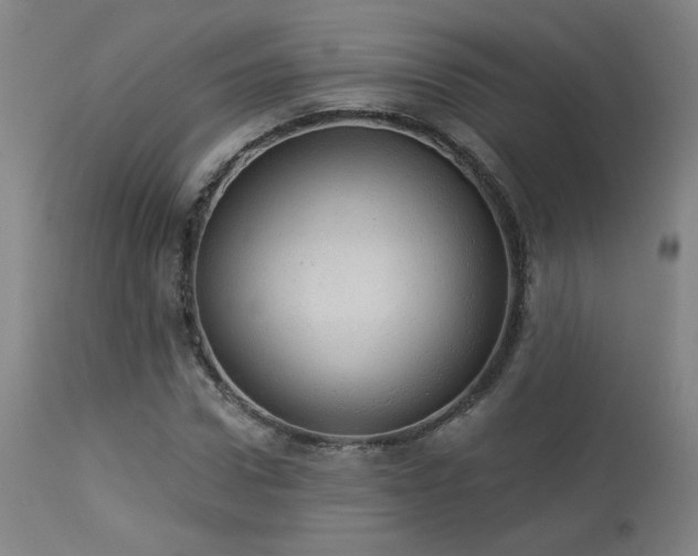 X0000113980922200910021133
