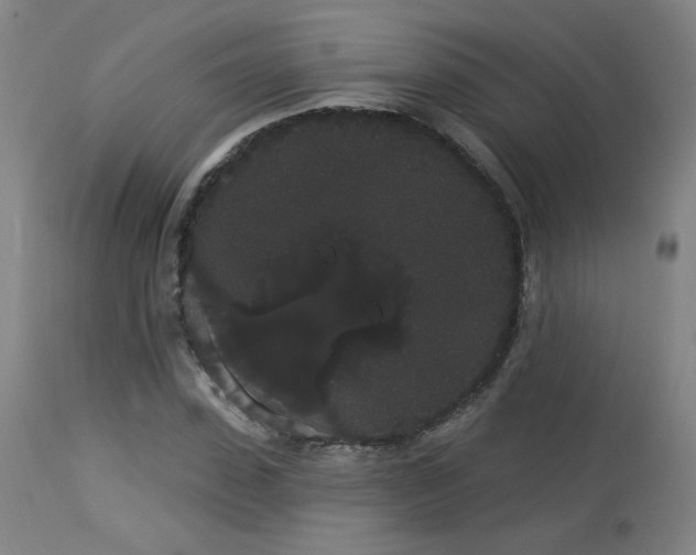 X0000113980923200910021133