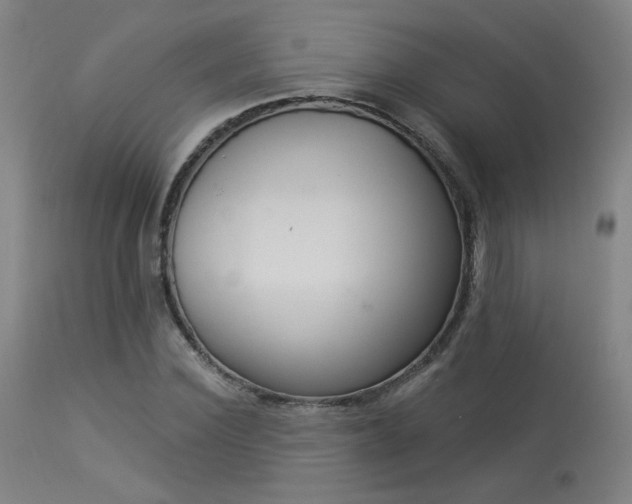 X0000113980924200910021133