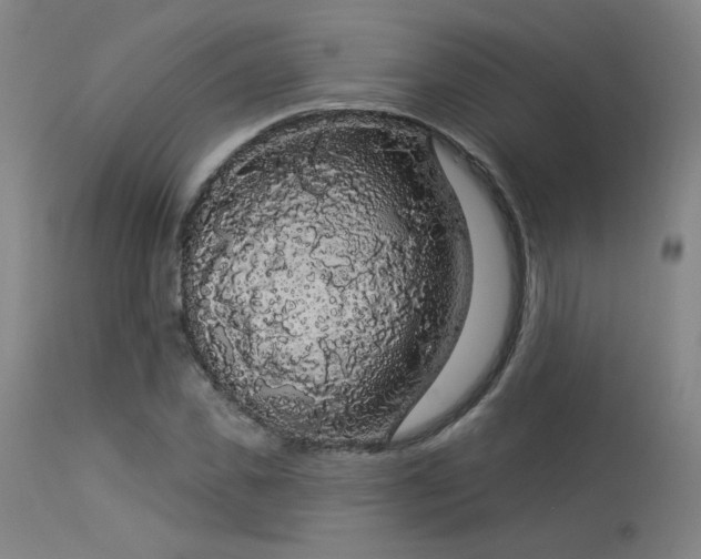 X0000113980925200910021133