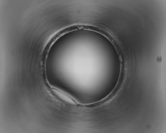 X0000113980926200910021133