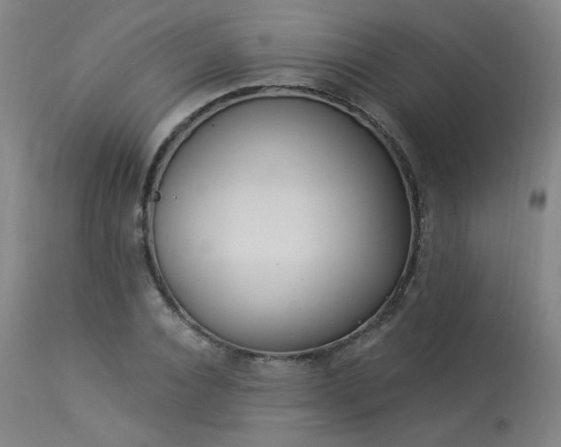 X0000113980928200910021133