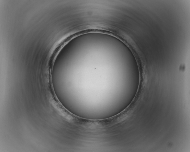 X0000113980931200910021133