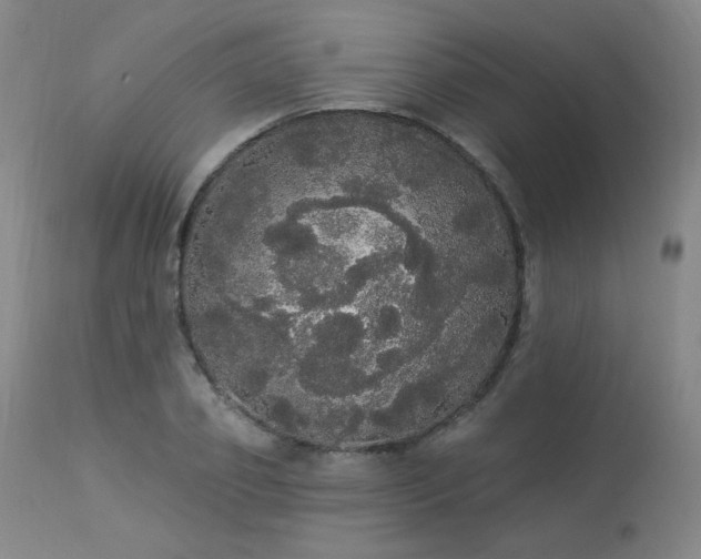 X0000113980933200910021133