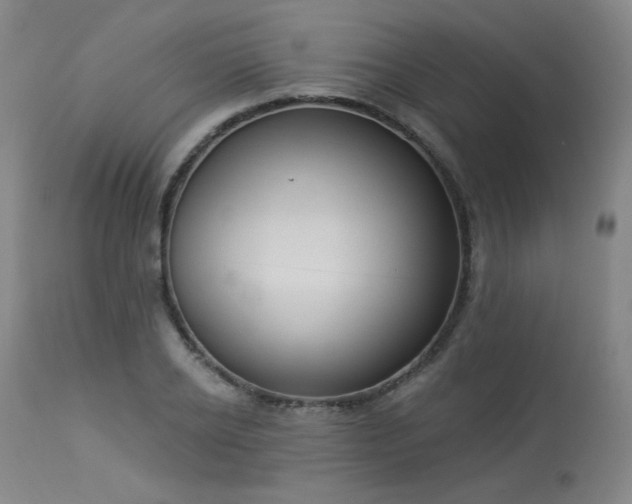 X0000113980934200910021133
