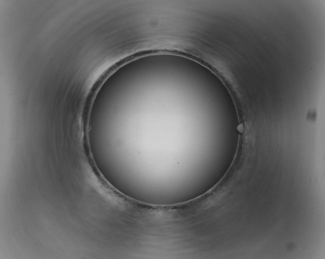 X0000113980936200910021133