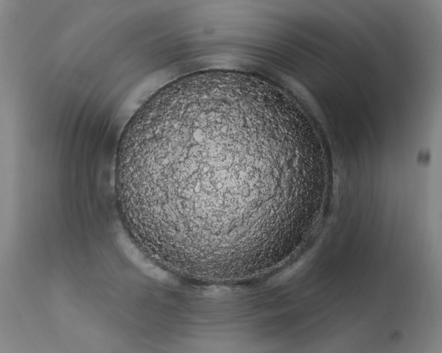 X0000113980938200910021133