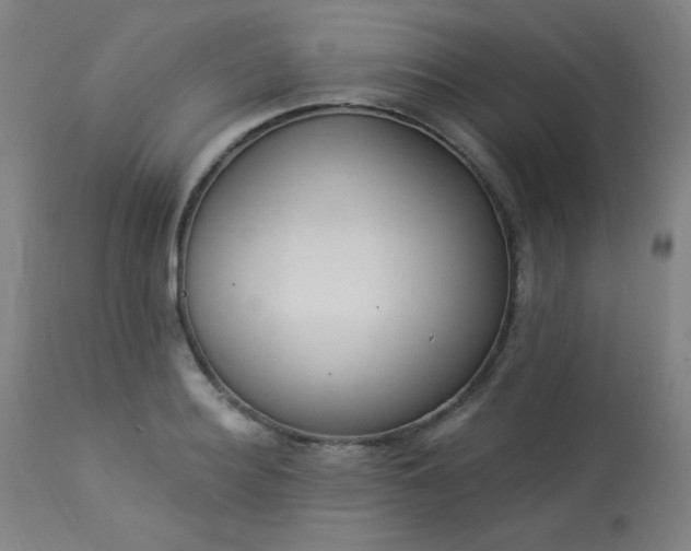 X0000113980940200910021133