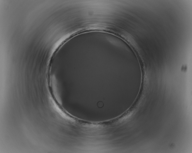 X0000113980941200910021133