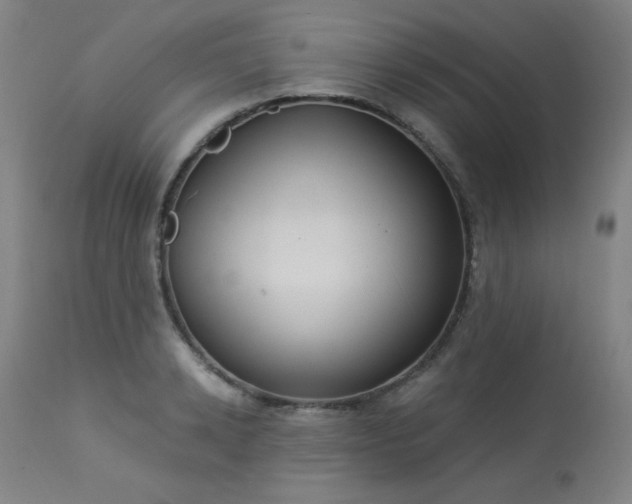 X0000113980942200910021133