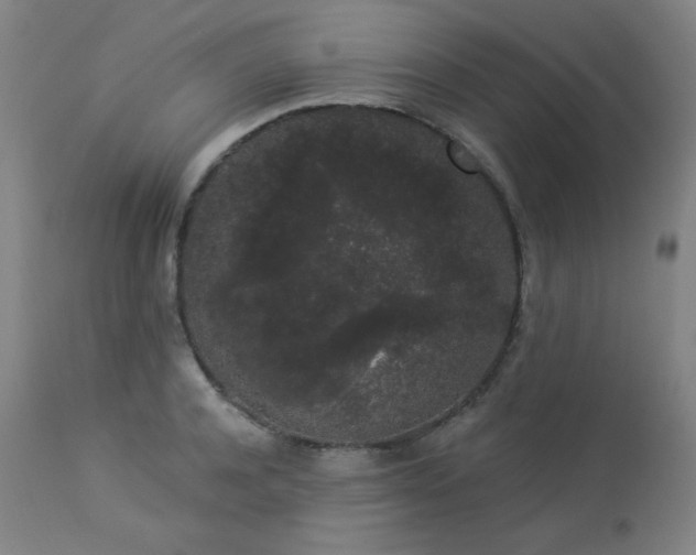 X0000113980944200910021133
