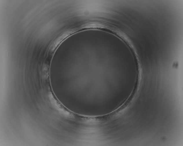 X0000113980945200910021133