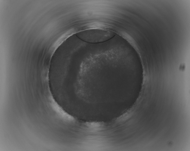 X0000113980946200910021133