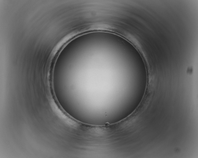 X0000113980947200910021133