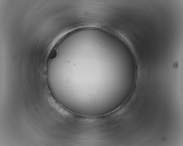 X0000113980948200910021133