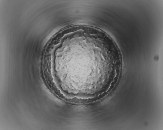 X0000113980949200910021133