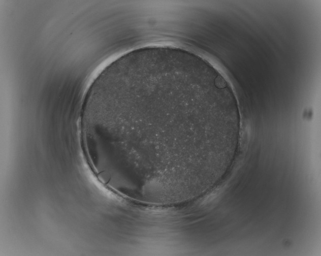 X0000113980951200910021133