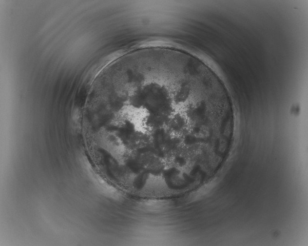 X0000113980953200910021133