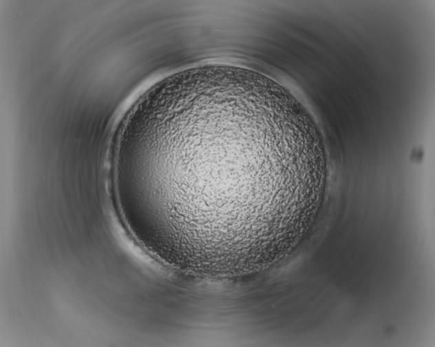 X0000113980955200910021134