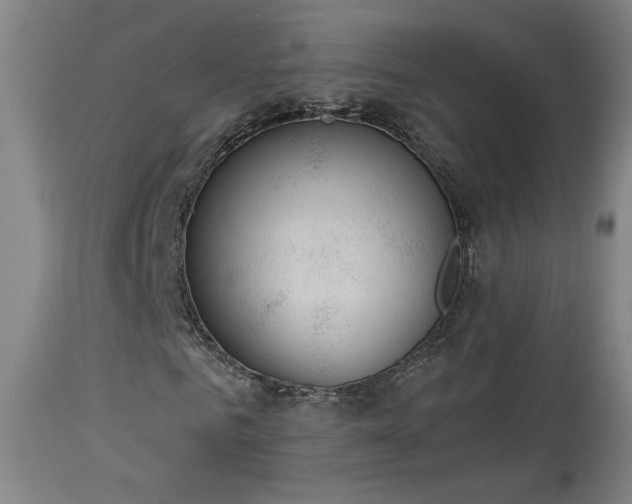 X0000113980961200910021133