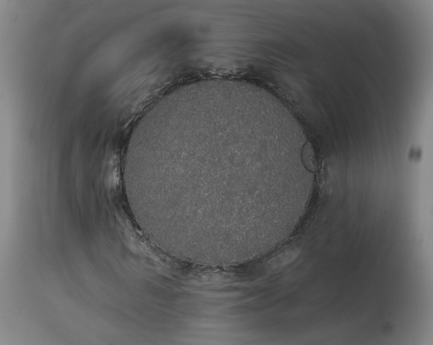 X0000113980962200910021133