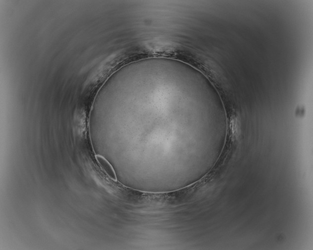 X0000113980963200910021133