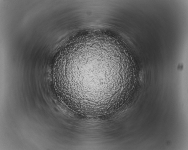 X0000113980964200910021133