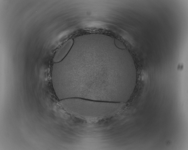 X0000113980965200910021133