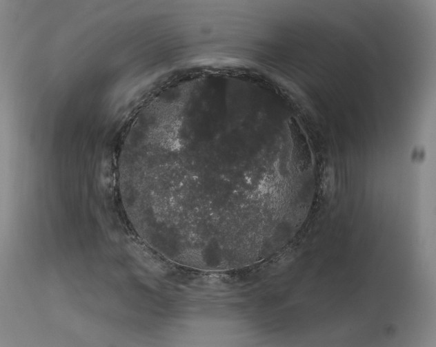 X0000113980966200910021133